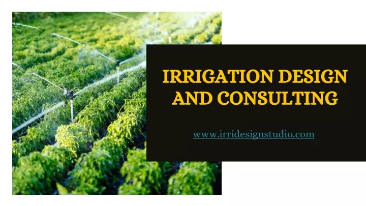 irrigation design and consulting