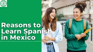 Reasons to Learn Spanish in Mexico