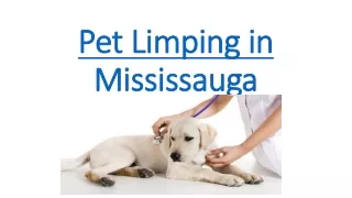 Pet Limping in Mississauga