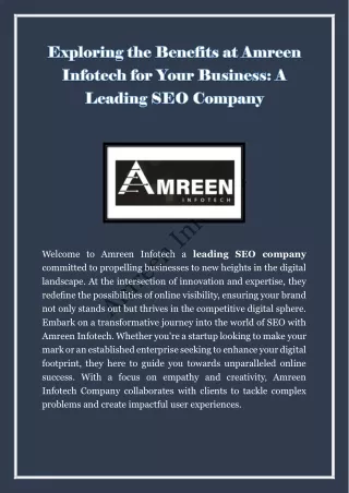 Optimize Your Online Presence with the Leading SEO Company for Unrivaled Digital Success  The Amreen Infotech