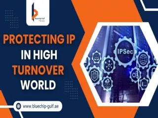 Protecting IP in HIgh Turnover World