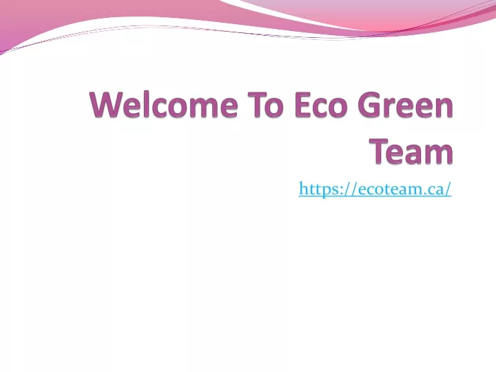 welcome to eco green team