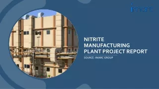 nitrite manufacturing plant project report