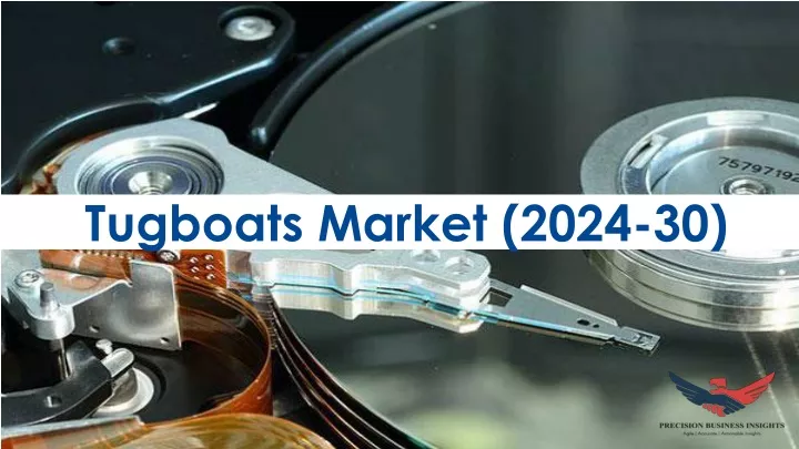 tugboats market 2024 30