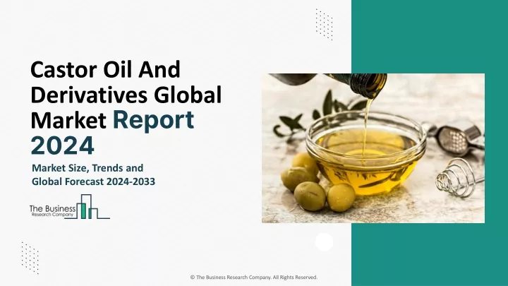 castor oil and derivatives global market report