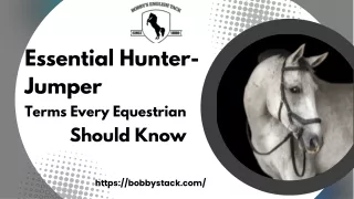 Essential Hunter-Jumper Terms Every Equestrian Should Know