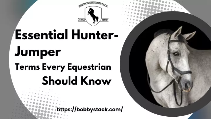 essential hunter jumper