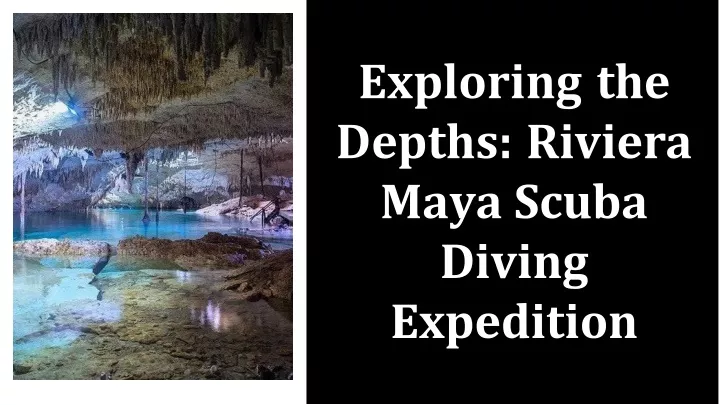 exploring the depths riviera maya scuba diving expedition