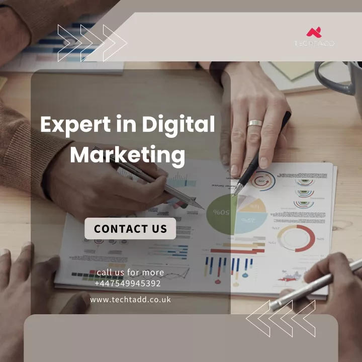 expert in digital marketing