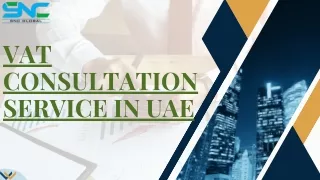 VAT consultation service in the UAE