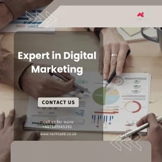 Expert in Digital Marketing