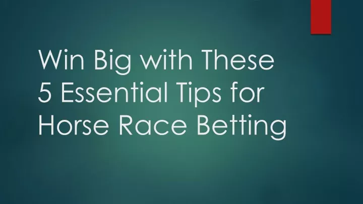 win big with these 5 essential tips for horse