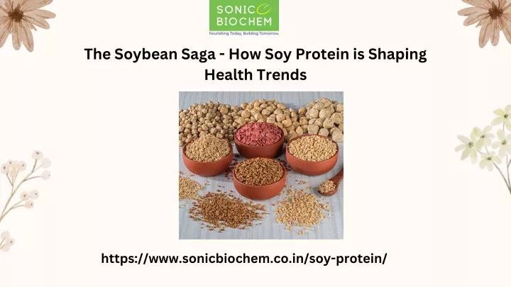 the soybean saga how soy protein is shaping