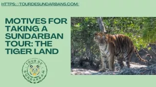 Motives For Taking A Sundarban Tour