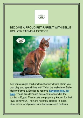 BECOME A PROUD PET PARENT WITH BELLE HOLLOW FARMS & EXOTICS