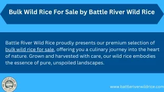 Bulk Wild Rice For Sale