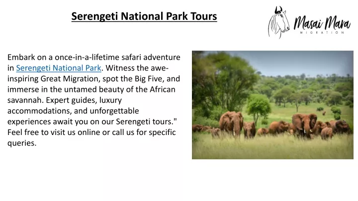 serengeti national park tours