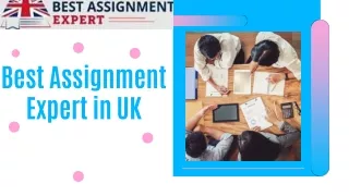 Best Assignment Expert in UK