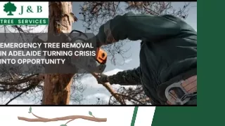 Emergency Tree Removal in Adelaide
