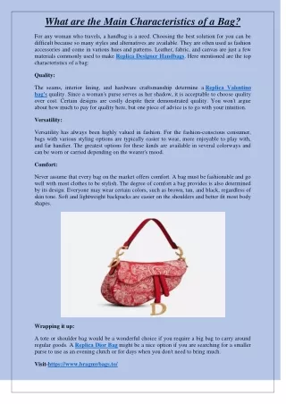 What are the Main Characteristics of a Bag?