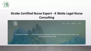 Stroke Certified Nurse Expert - K Waite Legal Nurse Consulting
