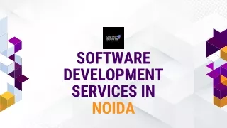 Cost-effective Software Development Services in Noida