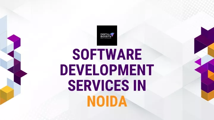software development services in noida