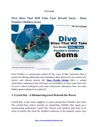Dive Sites That Will Take Your Breath Away  Nusa Penida s Hidden Gems