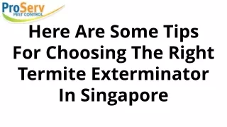 Here Are Some Tips For Choosing The Right Termite Exterminator In Singapore