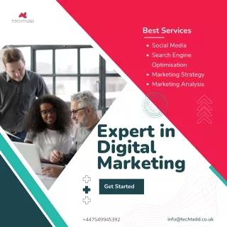 Expert in Digital Marketing