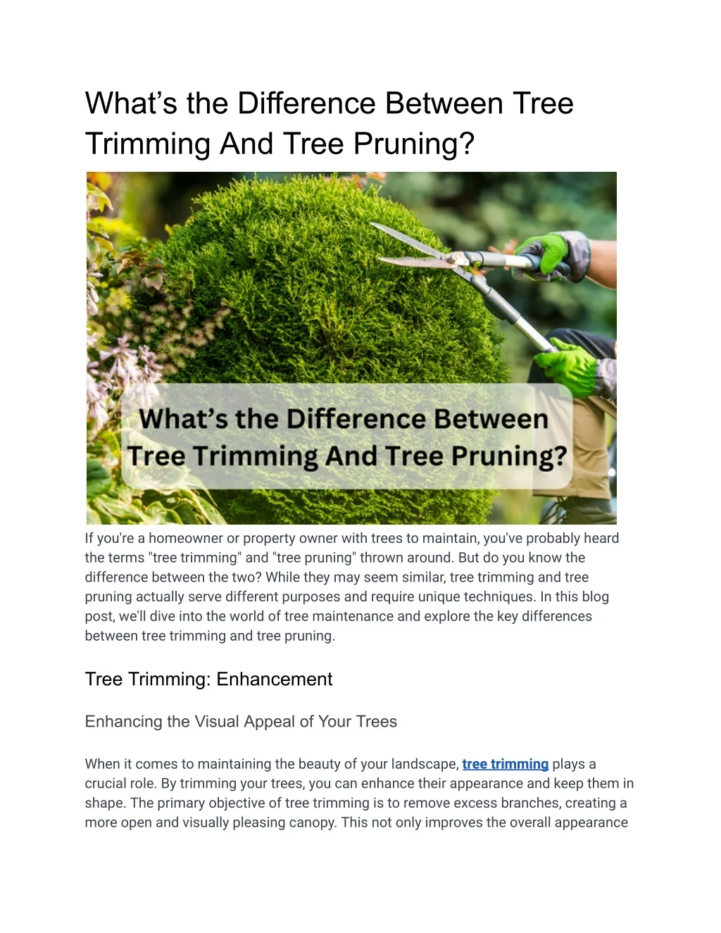 PPT - What’s the Difference Between Tree Trimming And Tree Pruning ...