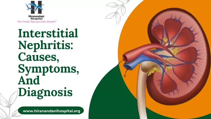 interstitial nephritis causes symptoms