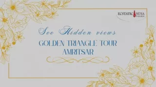 See Hidden views with Golden Triangle Tour Amritsar