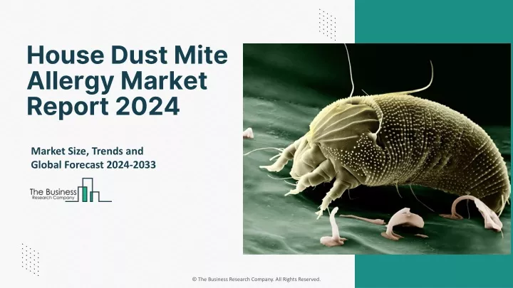 house dust mite allergy market report 2024