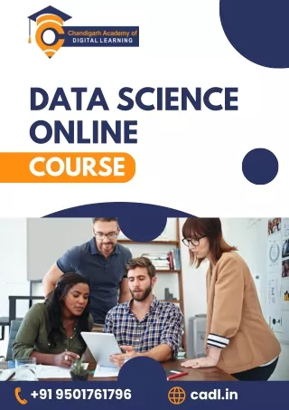 Data Science Online Course in zirakpur