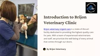 introduction to brijon veterinary clinic