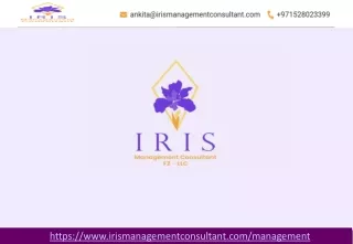 Business Consultant in Dubai-Iris Management Consultant