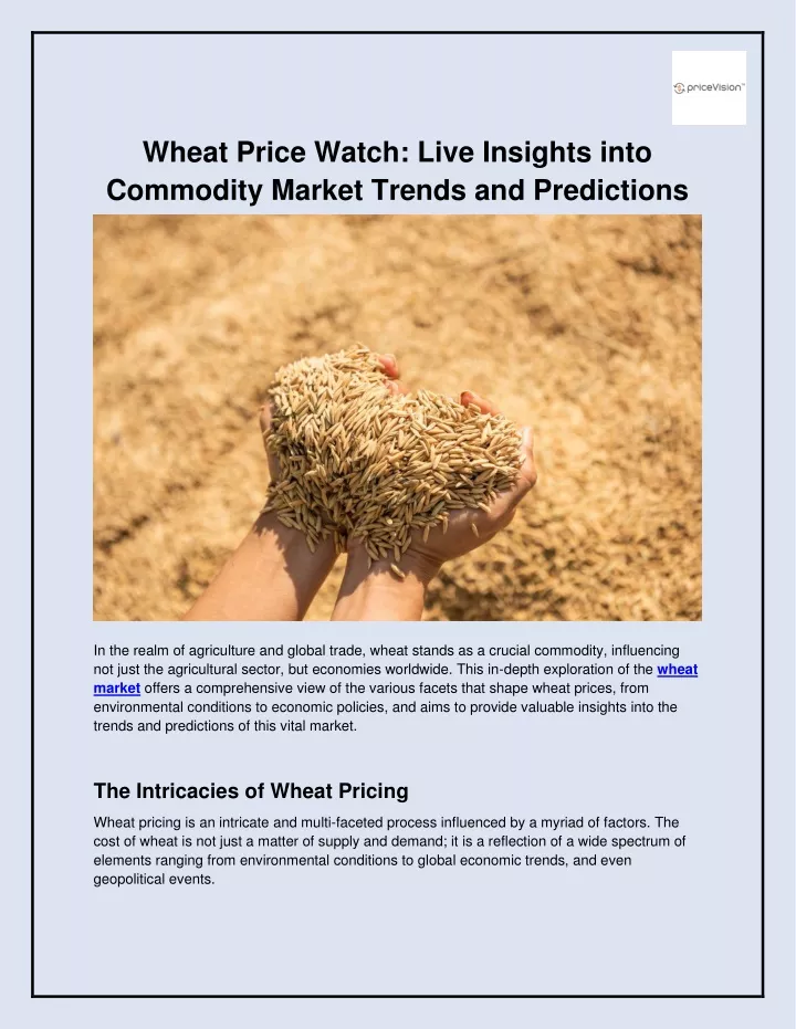 wheat price watch live insights into commodity