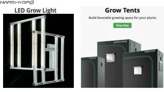 PPT on Grow Ten and LED grow lights