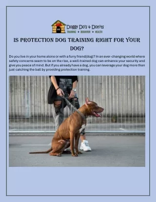 Is Protection Dog Training Right For Your Dog