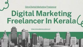Digital Marketing Freelancer