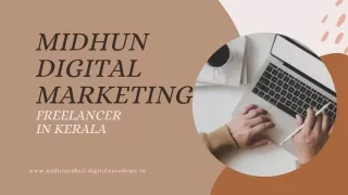 Midhun Digital Marketing Freelancer