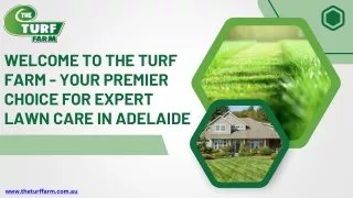 Lawn Care Adelaide--The Turf Farm