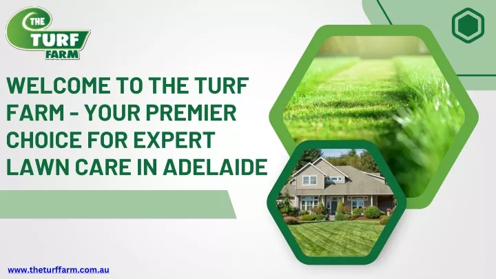 welcome to the turf farm your premier choice