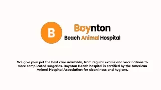 Holistic Wellness Animal Hospital Services in Boynton Beach