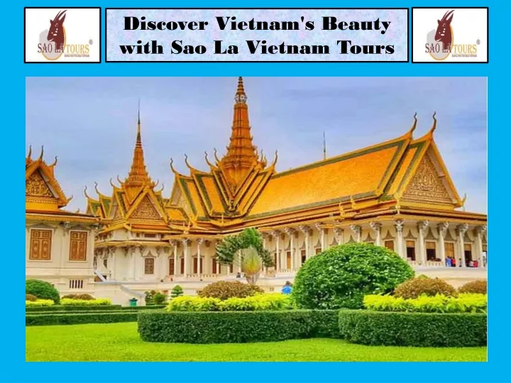 discover vietnam s beauty with sao la vietnam