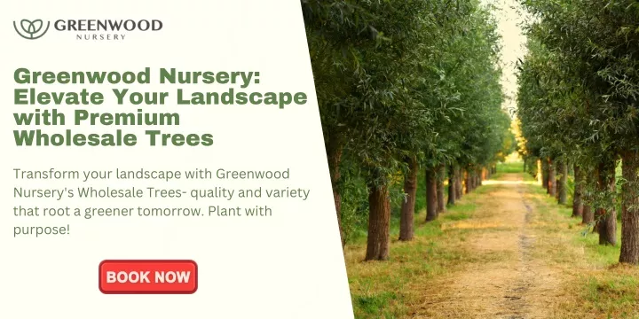 greenwood nursery elevate your landscape with