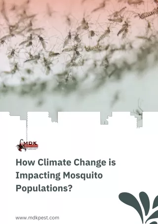 How Climate Change is Impacting Mosquito Populations