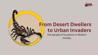 From Desert Dwellers to Urban Invaders The Spread of Scorpions in Modern Society