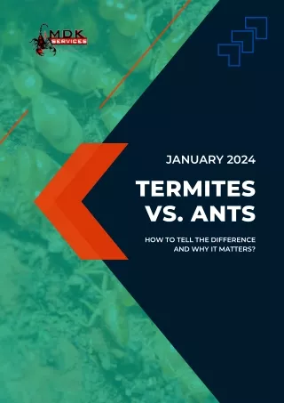 Termites vs. Ants